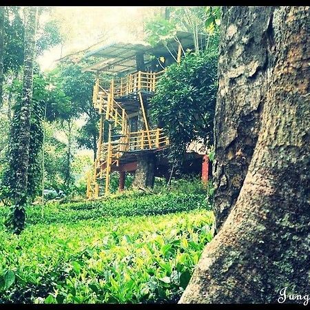 Jungle Jive Treehouse And Farm House Munnar Εξωτερικό φωτογραφία