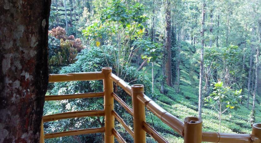 Jungle Jive Treehouse And Farm House Munnar Εξωτερικό φωτογραφία