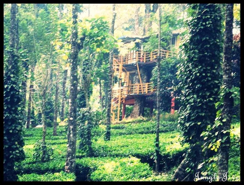 Jungle Jive Treehouse And Farm House Munnar Εξωτερικό φωτογραφία