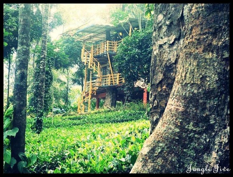 Jungle Jive Treehouse And Farm House Munnar Εξωτερικό φωτογραφία