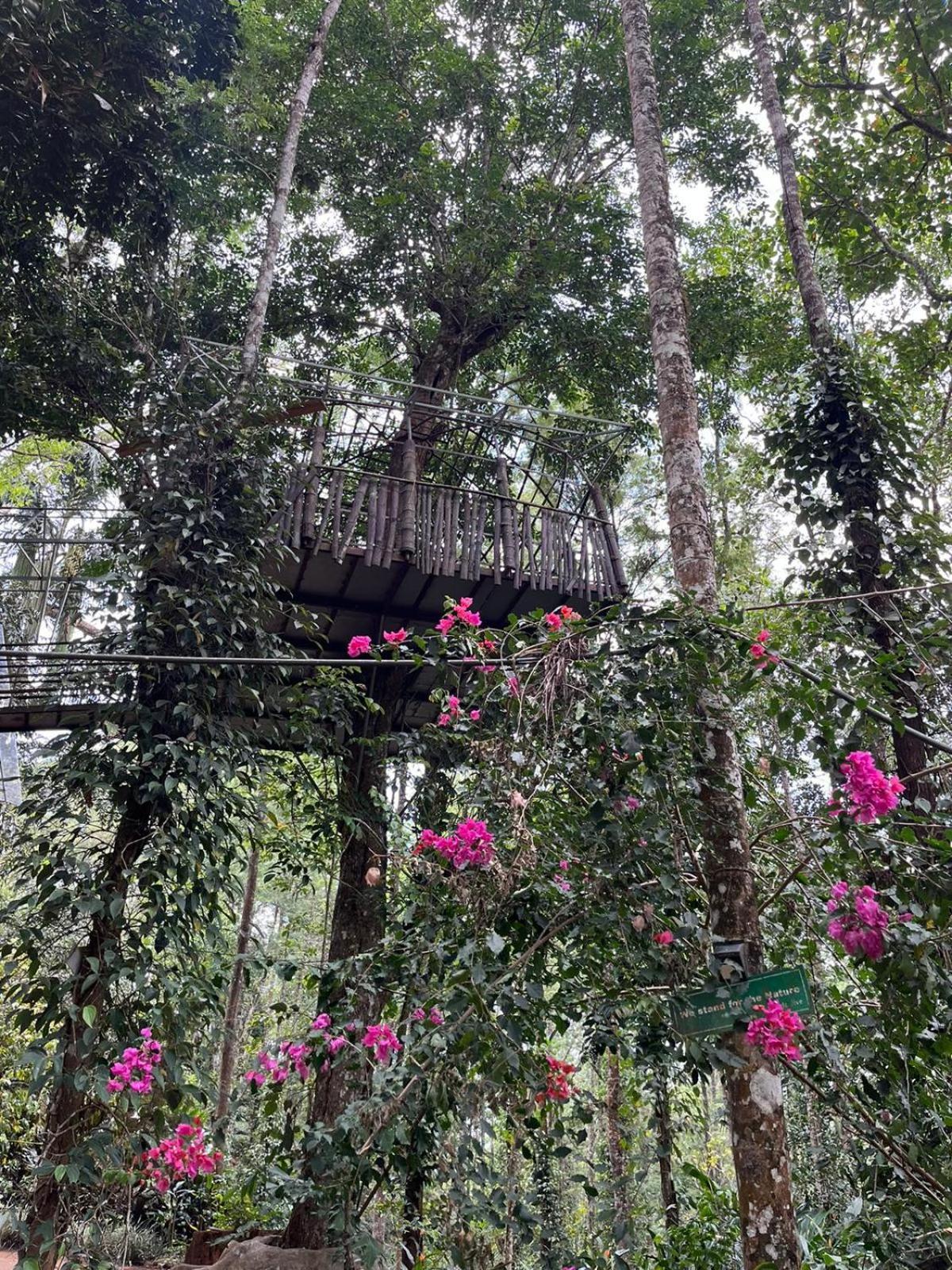 Jungle Jive Treehouse And Farm House Munnar Εξωτερικό φωτογραφία