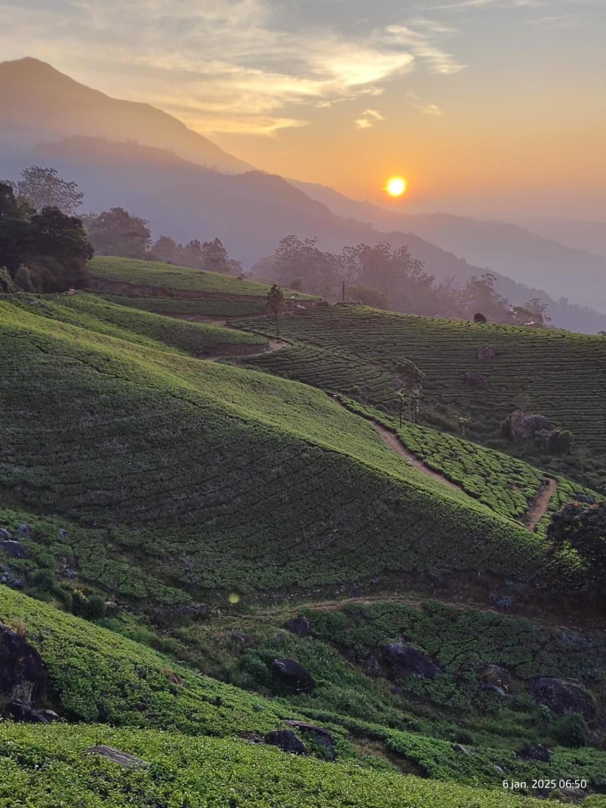 Jungle Jive Treehouse And Farm House Munnar Εξωτερικό φωτογραφία