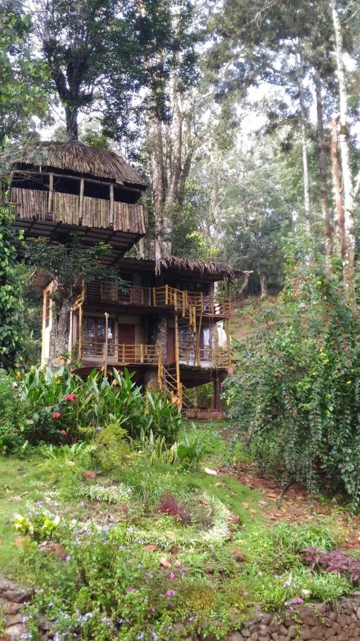 Jungle Jive Treehouse And Farm House Munnar Εξωτερικό φωτογραφία
