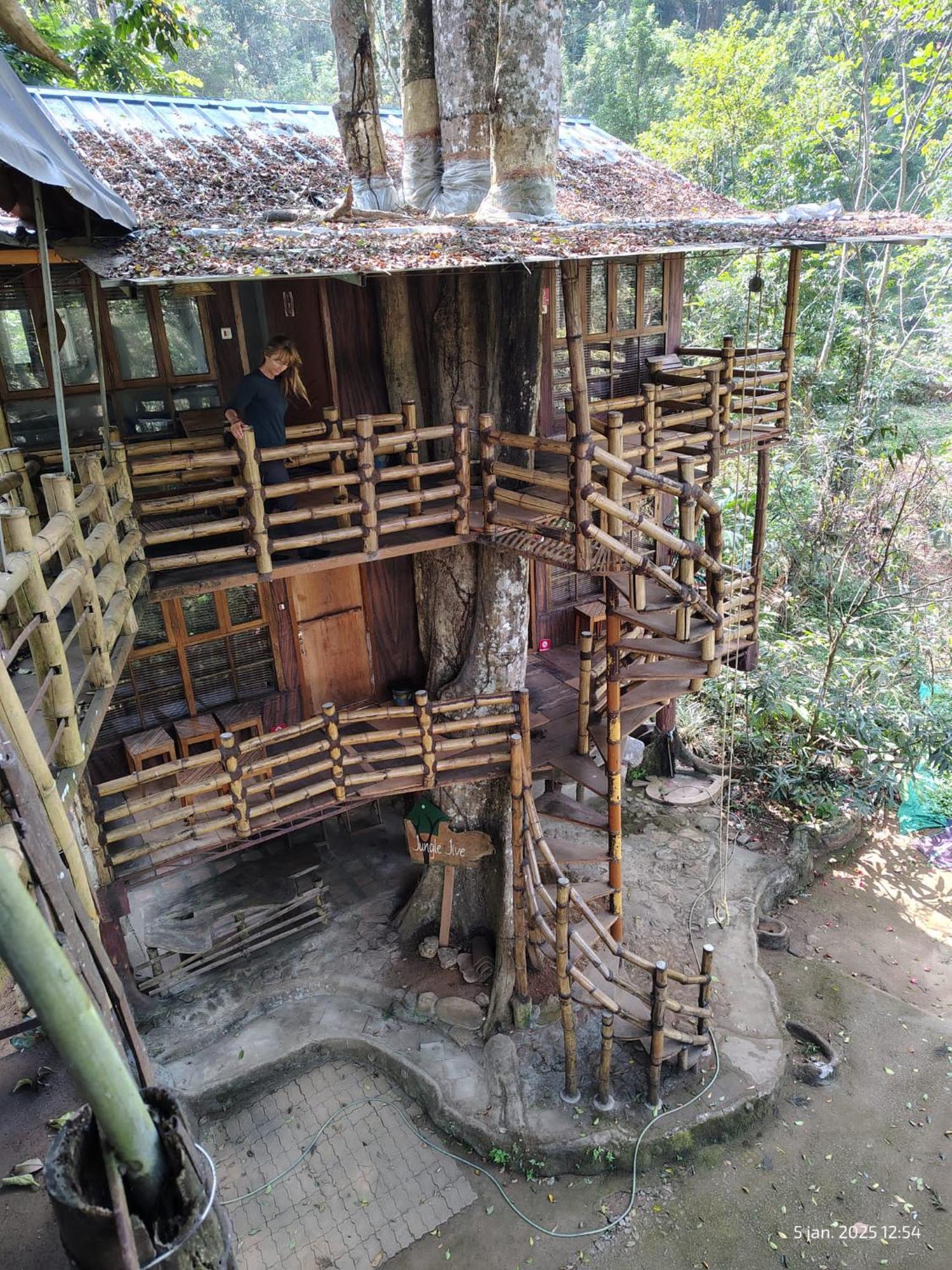 Jungle Jive Treehouse And Farm House Munnar Εξωτερικό φωτογραφία