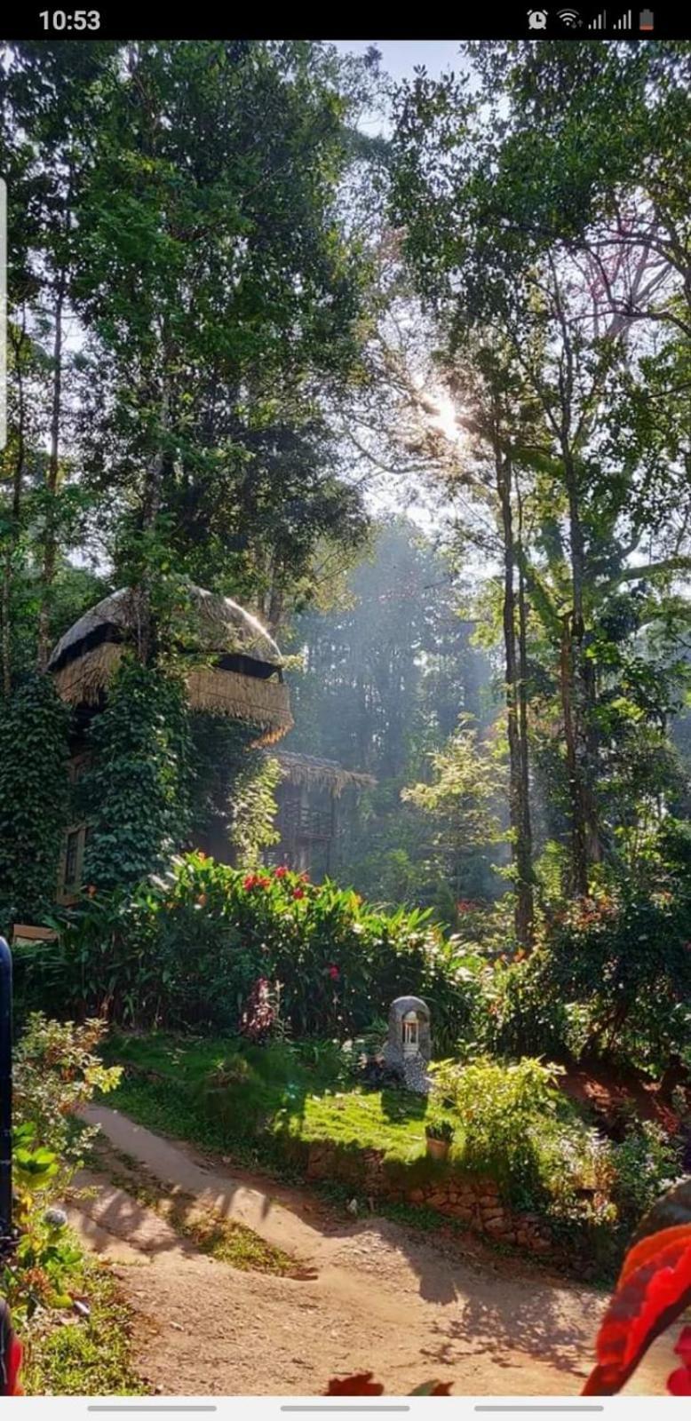 Jungle Jive Treehouse And Farm House Munnar Εξωτερικό φωτογραφία