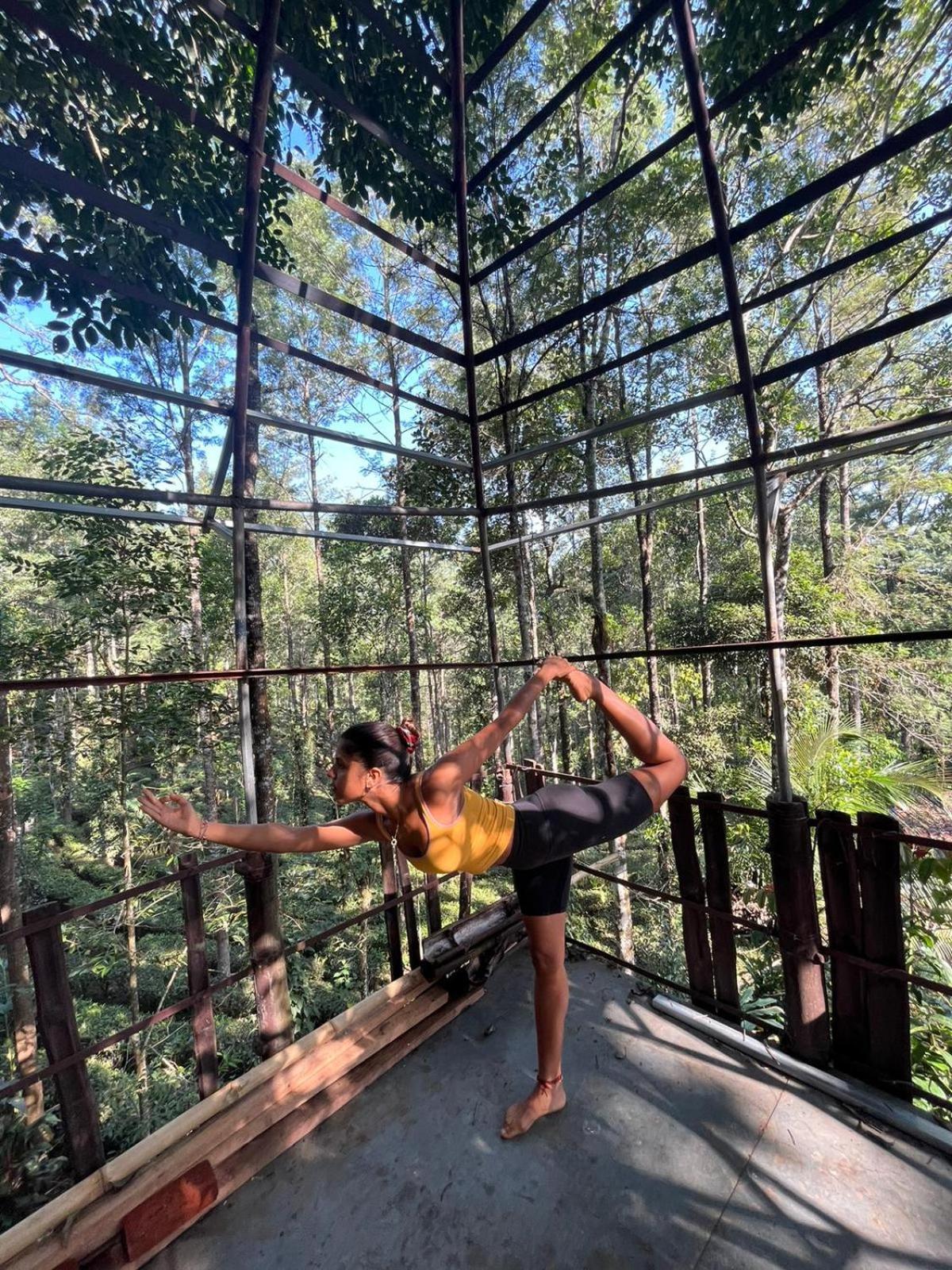 Jungle Jive Treehouse And Farm House Munnar Εξωτερικό φωτογραφία